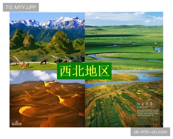 巴尔韦德与巴雷拉对比分析:中场覆盖范围与活动区域差异 巴尔韦德与巴雷拉对比分析:中场覆盖范围与活动区域差异
