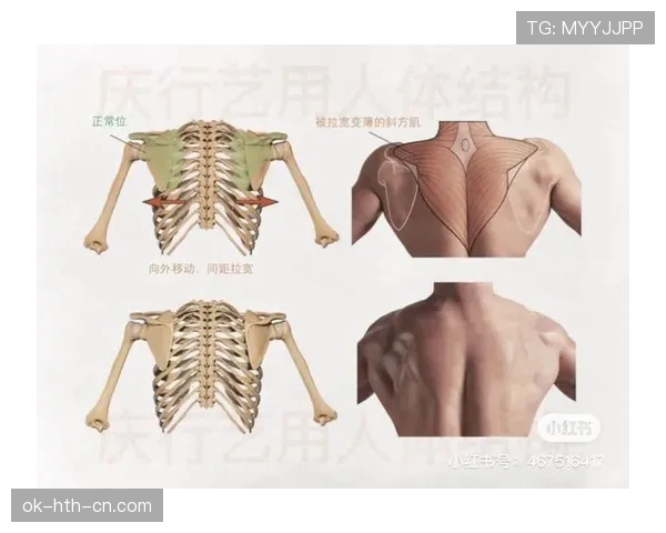 琼阿梅尼与贝林厄姆全能性对比:中场角色定位与结构差异分析 琼阿梅尼与贝林厄姆全能性对比:中场角色定位与结构差异分析